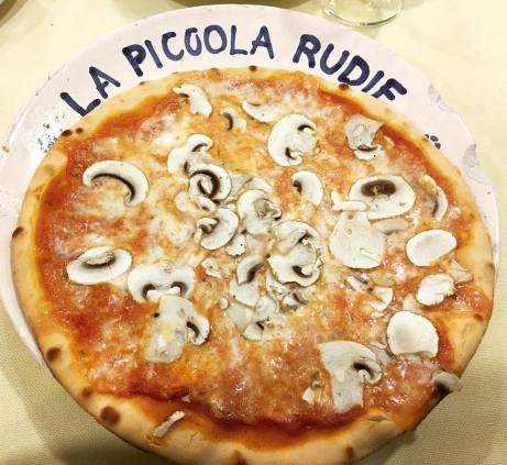 16142863_1551495341535087_7719081410411774619_n